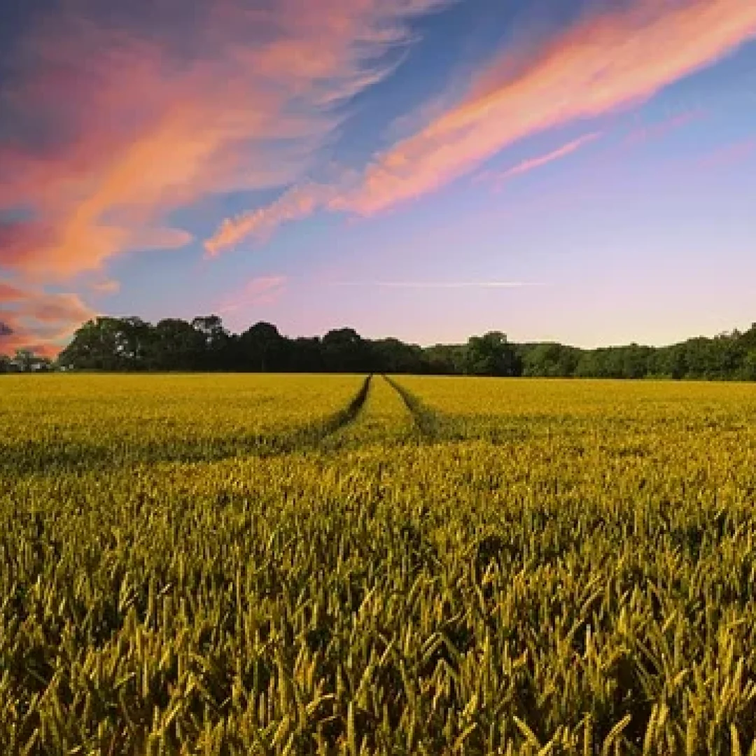 countryside-2326787_640