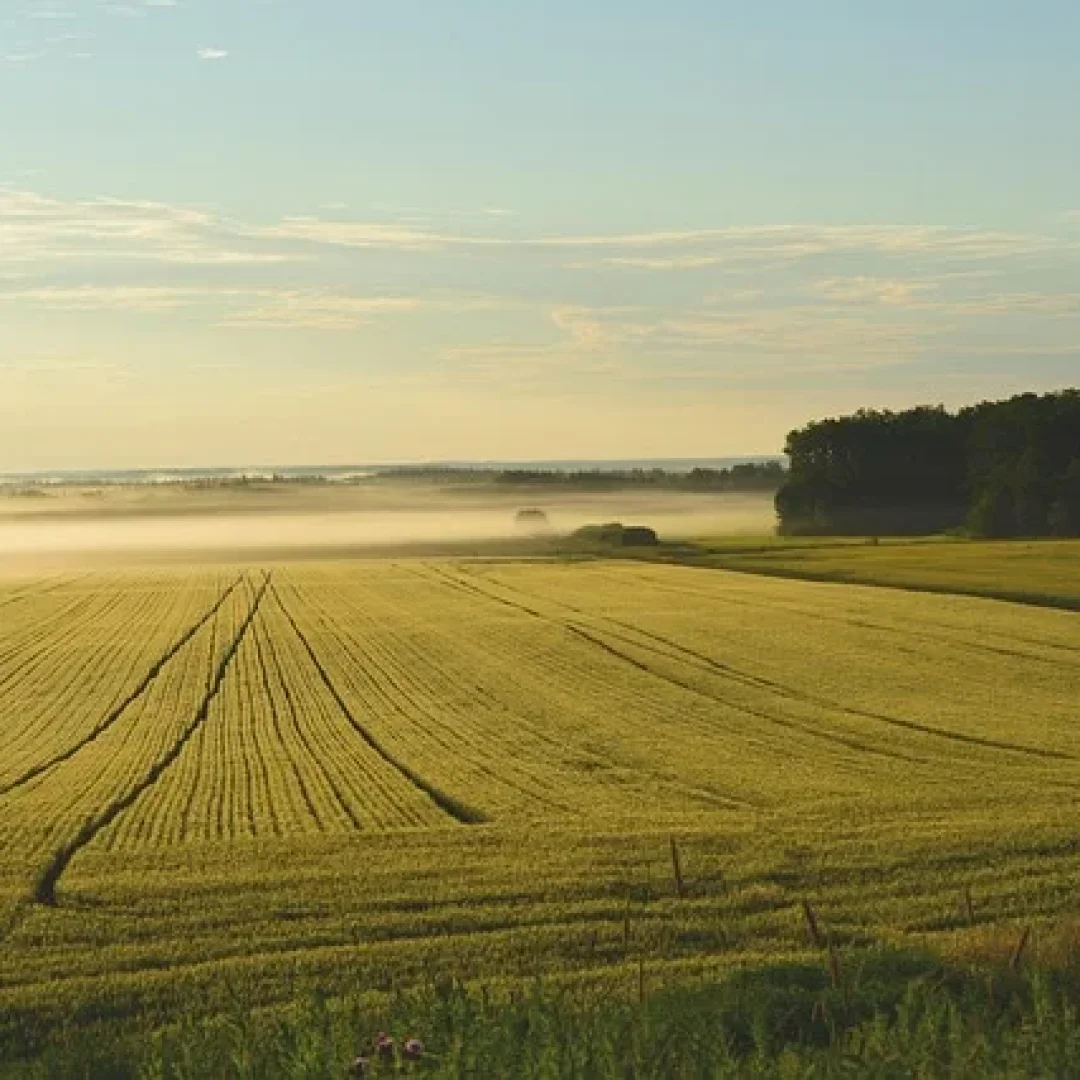 farm-5836815_640